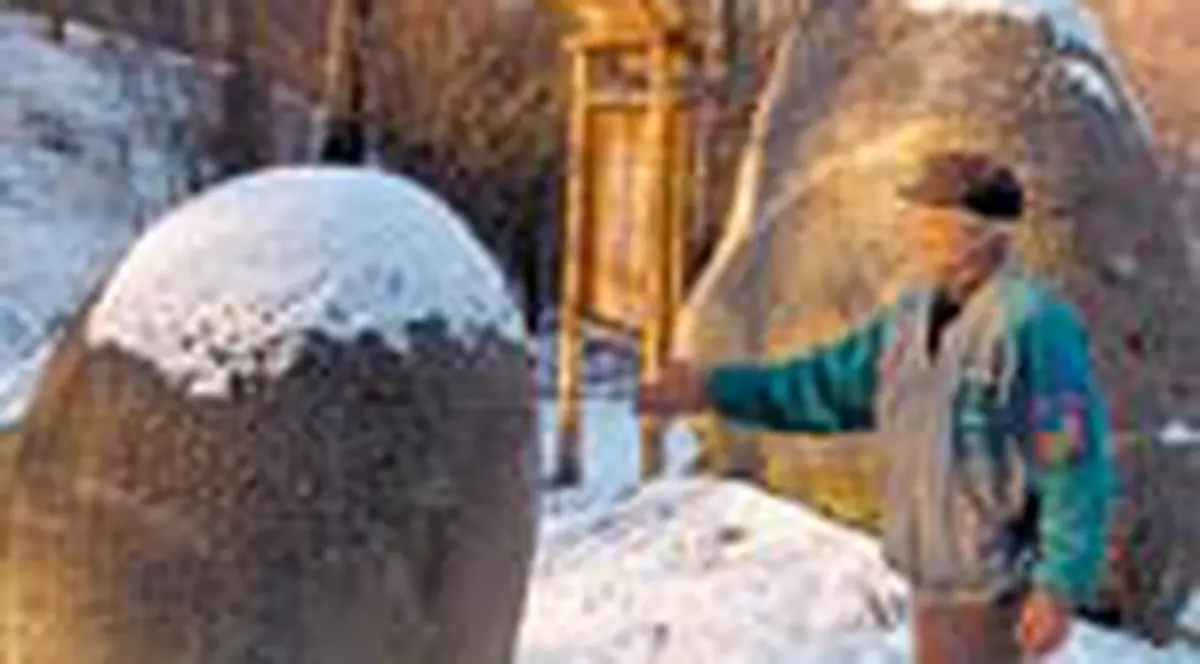 Comoara oltenilor, pazita de stafii