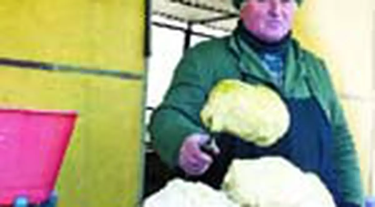 Vinde varza la -14 grade C!