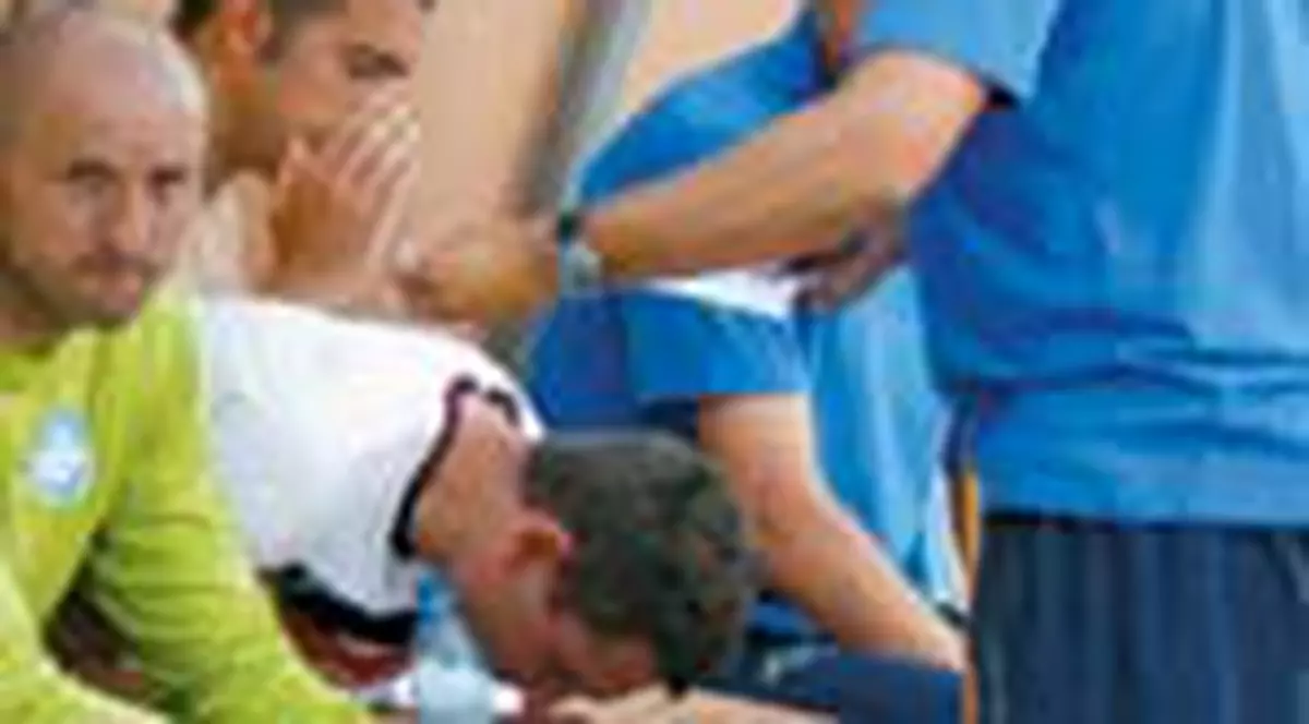 'Stelea si Dan Petrescu s-au luat la pumni!'