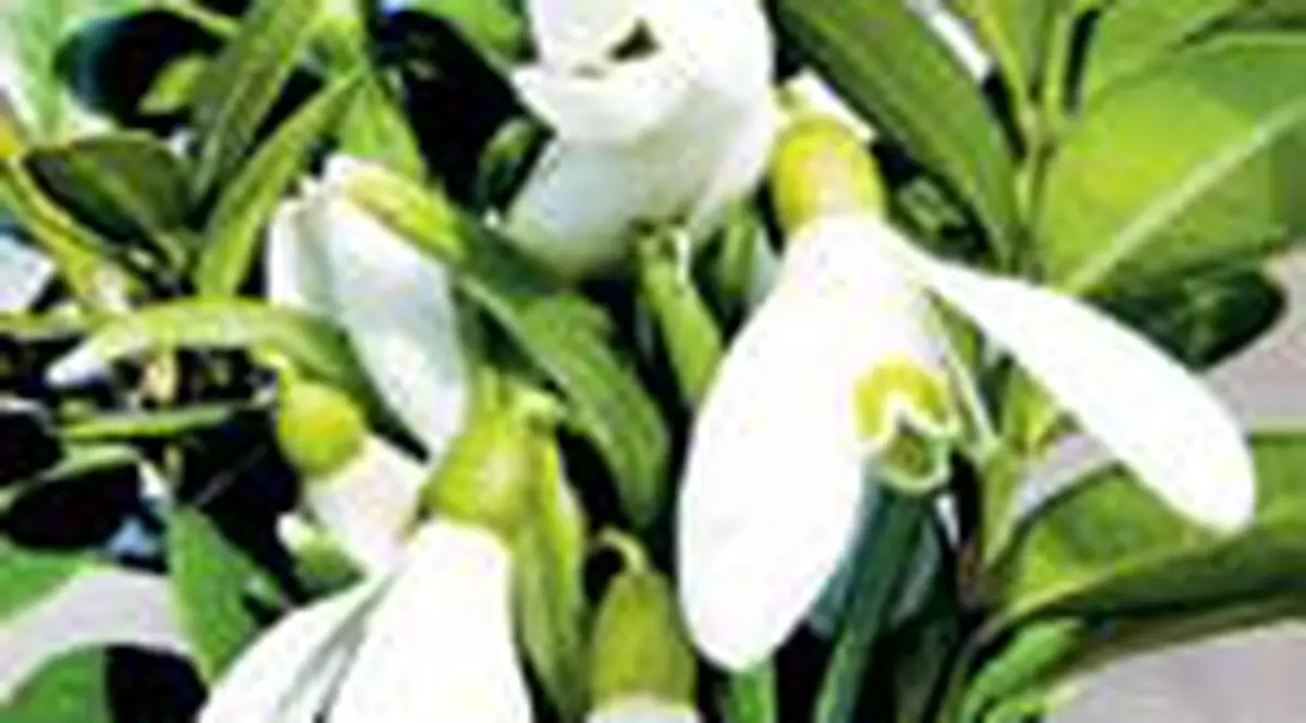 Luni vom avea 19 grade Celsius