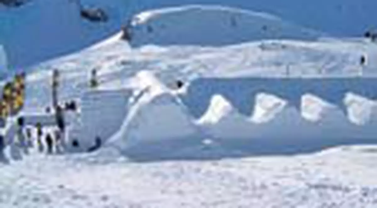 Cina romantica la Ice Hotel Balea Lac 