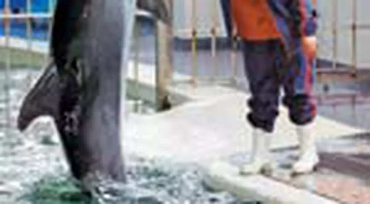 Mark va fi inlocuit?