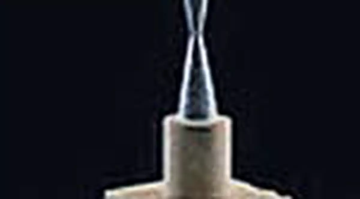 Votati-l pe Brancusi in topul artistilor!