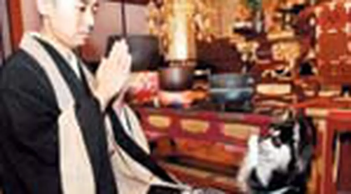 Un caine care se roaga face senzatie in Japonia