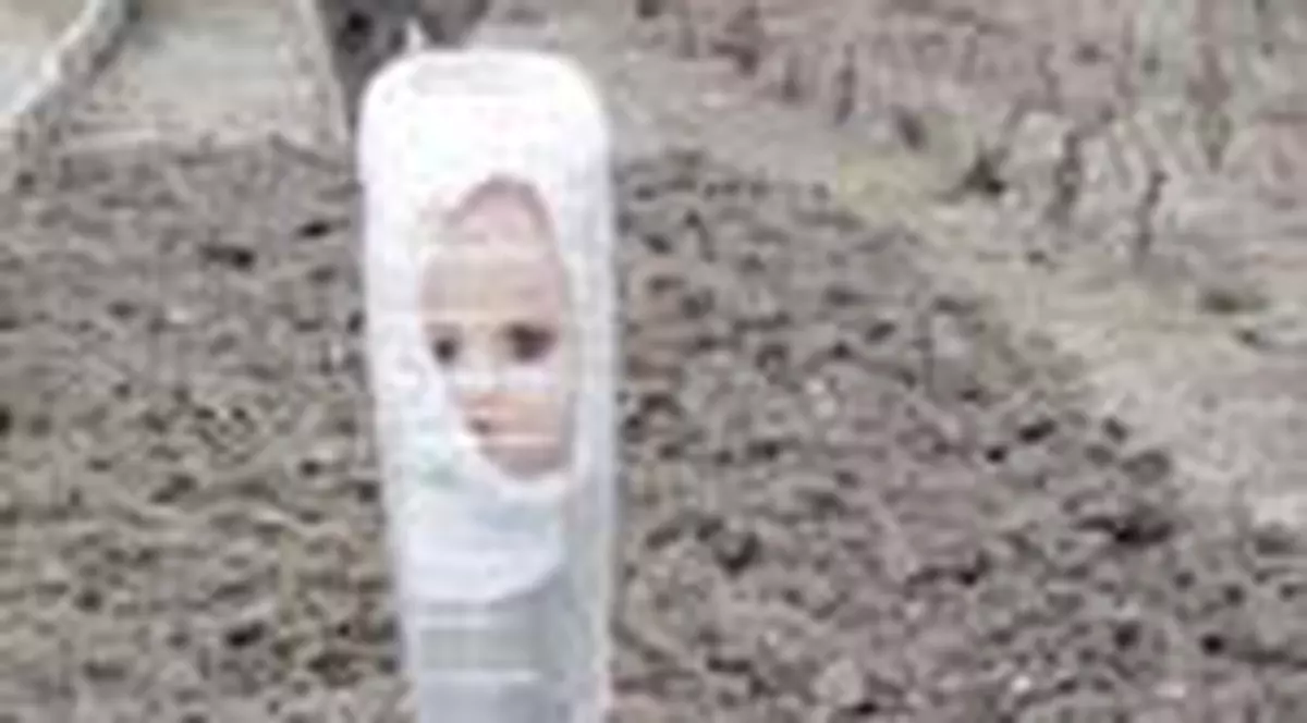 Parintii ucigasi au infipt capete de papusi in curte