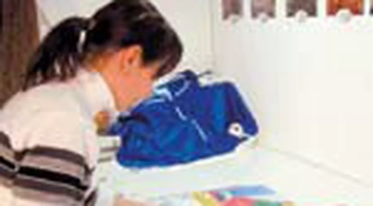 Fac steaguri pentru summitul NATO 