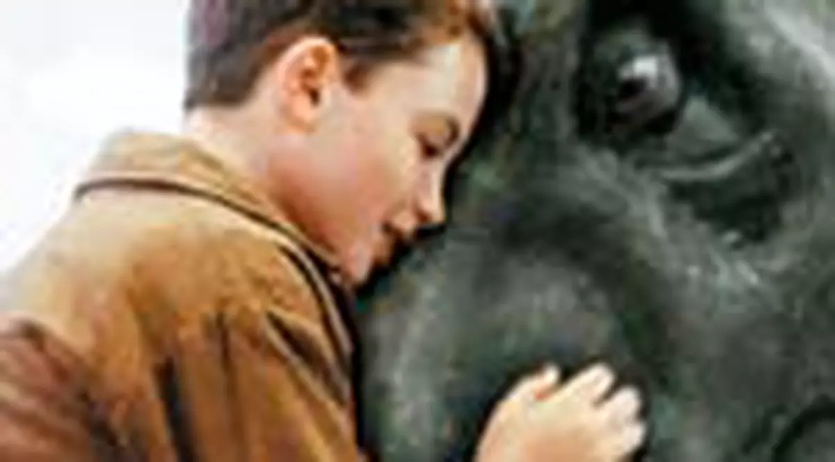 'Eu si monstrul meu'