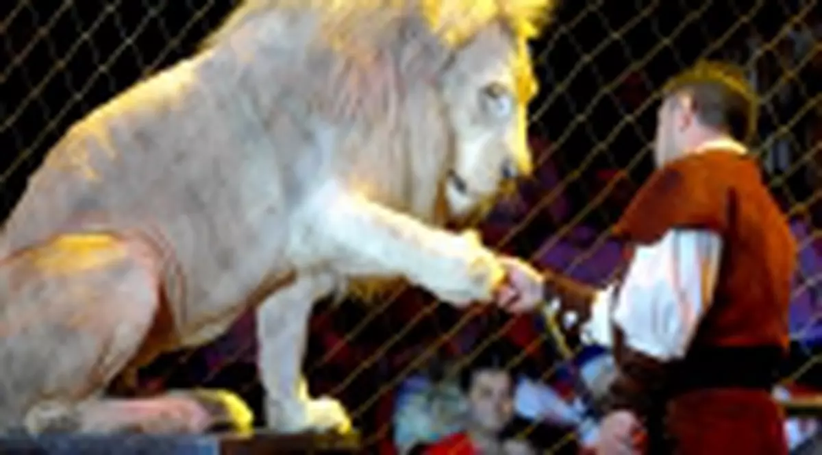 Ultimele reprezentatii la Galele Circului