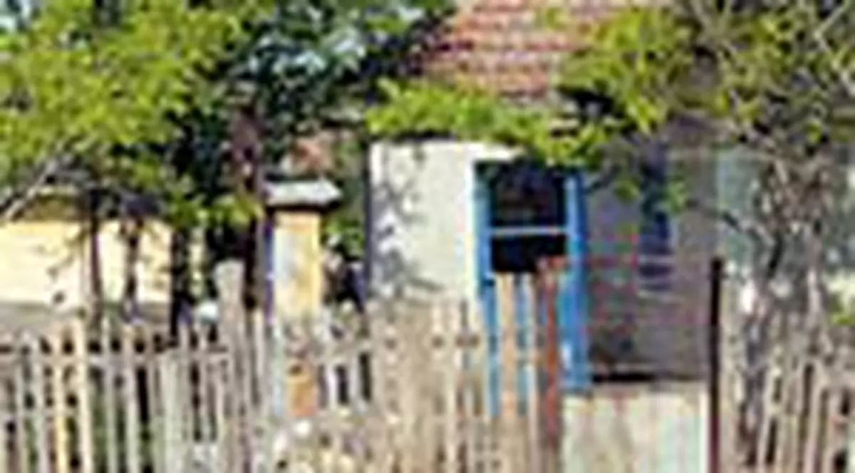 Trei fratiori lasati sa moara de foame