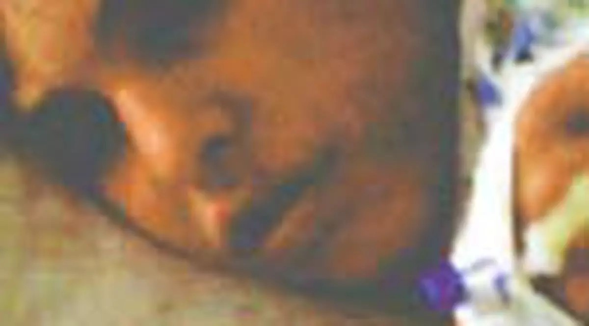 S-a spanzurat dupa ce a fost prins la furat