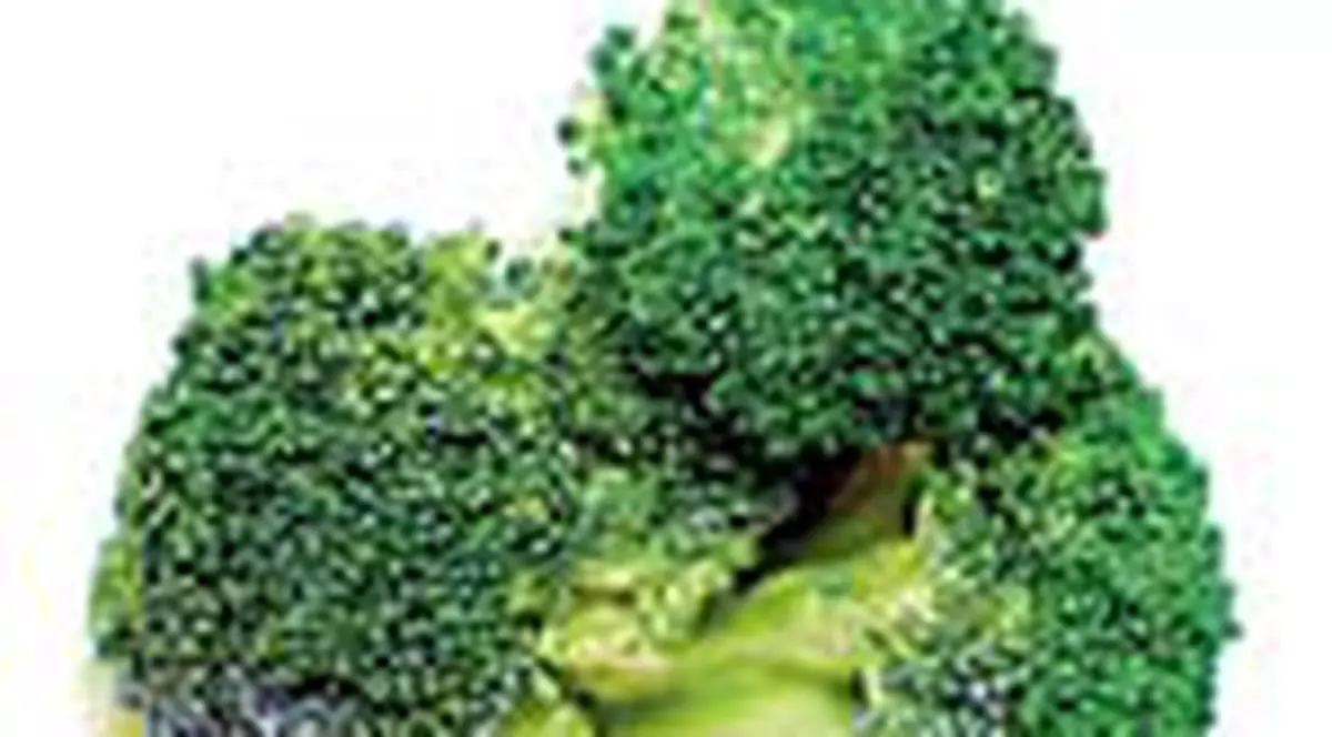 Broccoli incetinste imbatranirea