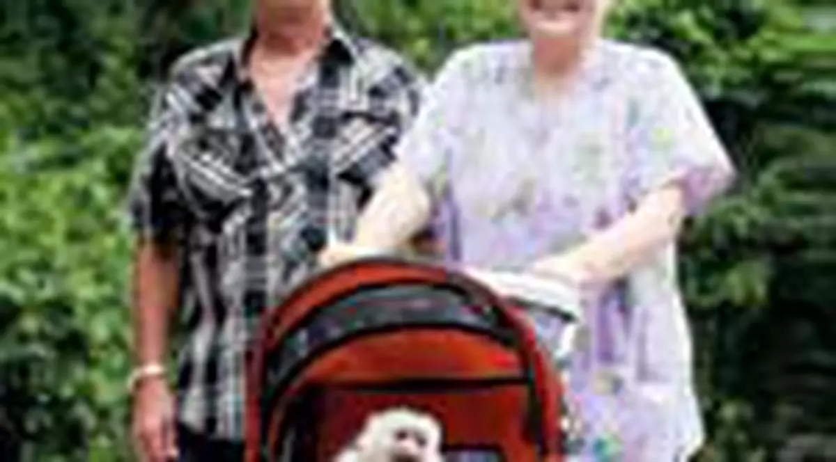 Ce maimuta rasfatata!