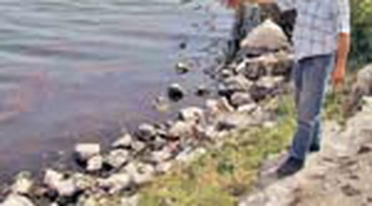 A murit salvand un baietel de la inec