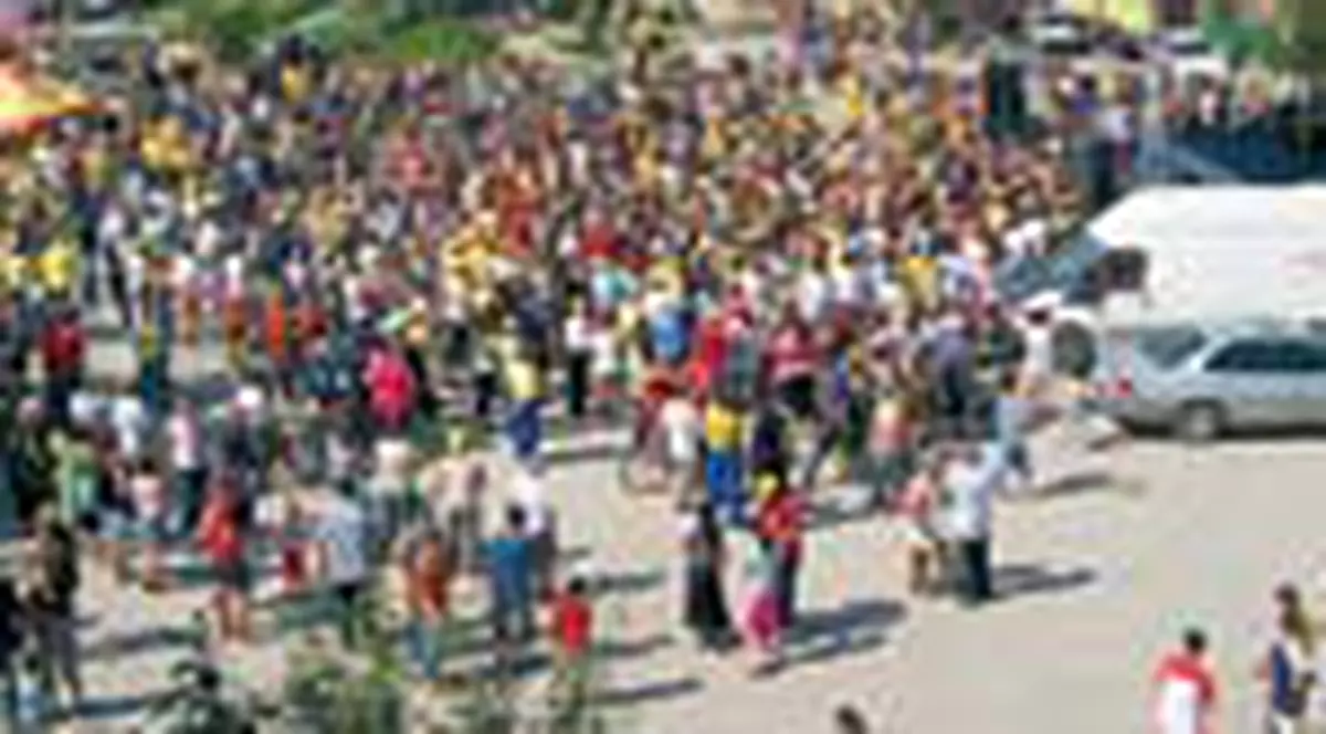 Vijelie a cantat in parcare la Jilava