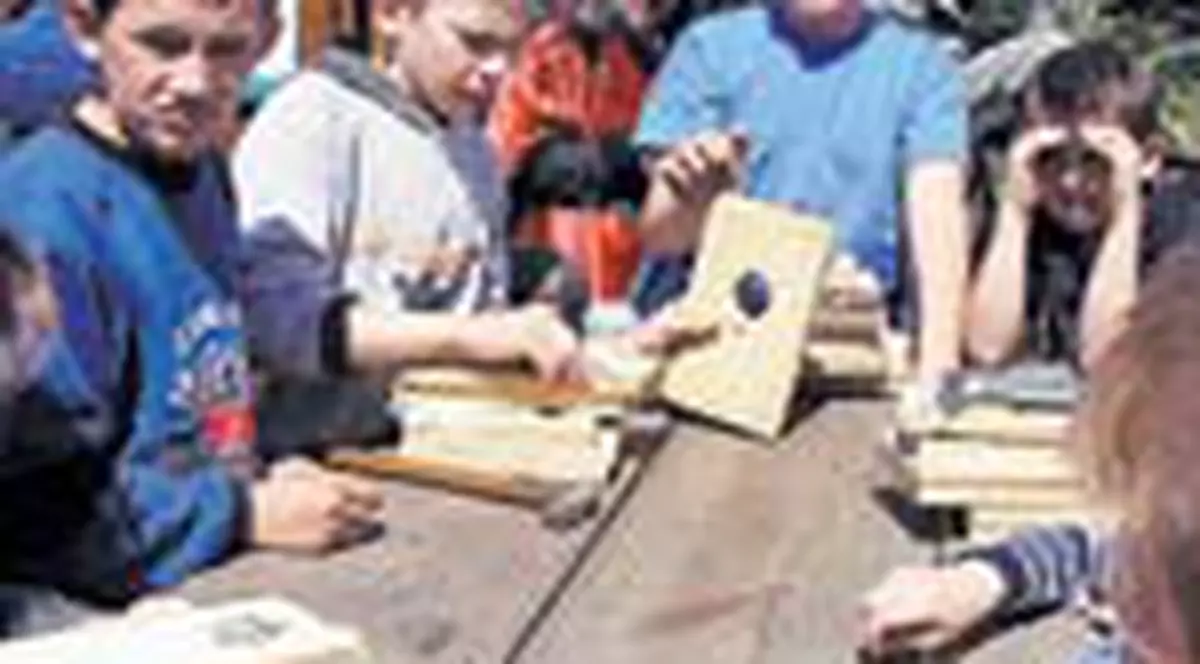 Copiii din Sibiu le-au facut casute pasarilor