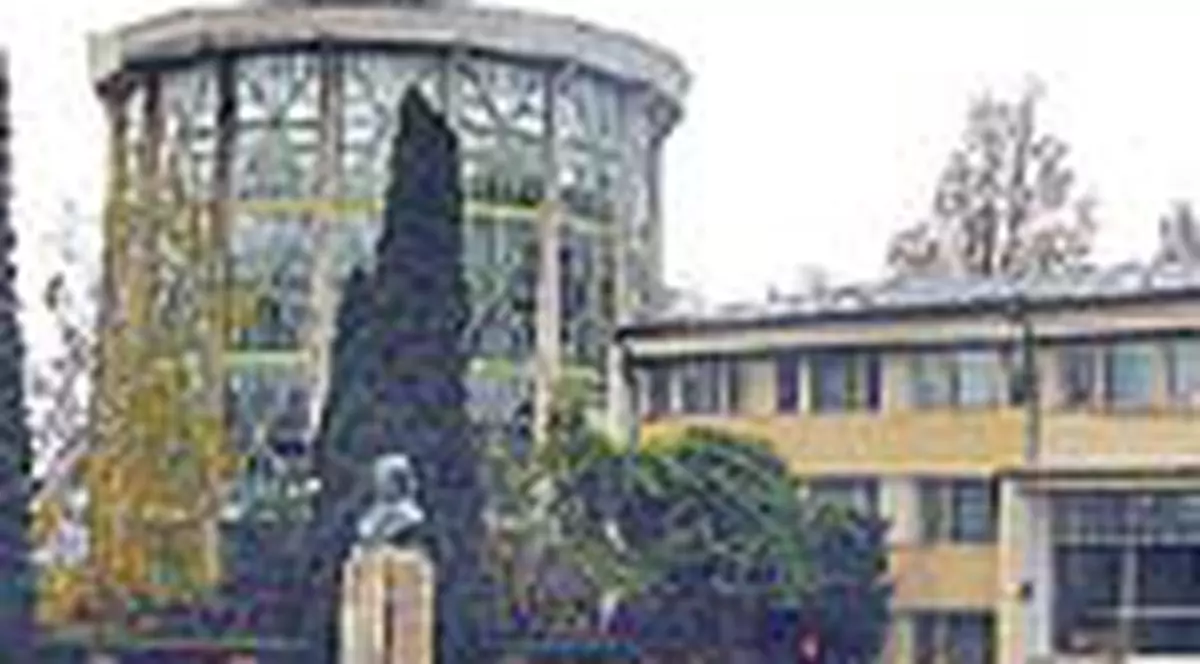 Aleea Nevazatorilor la Gradina Botanica 