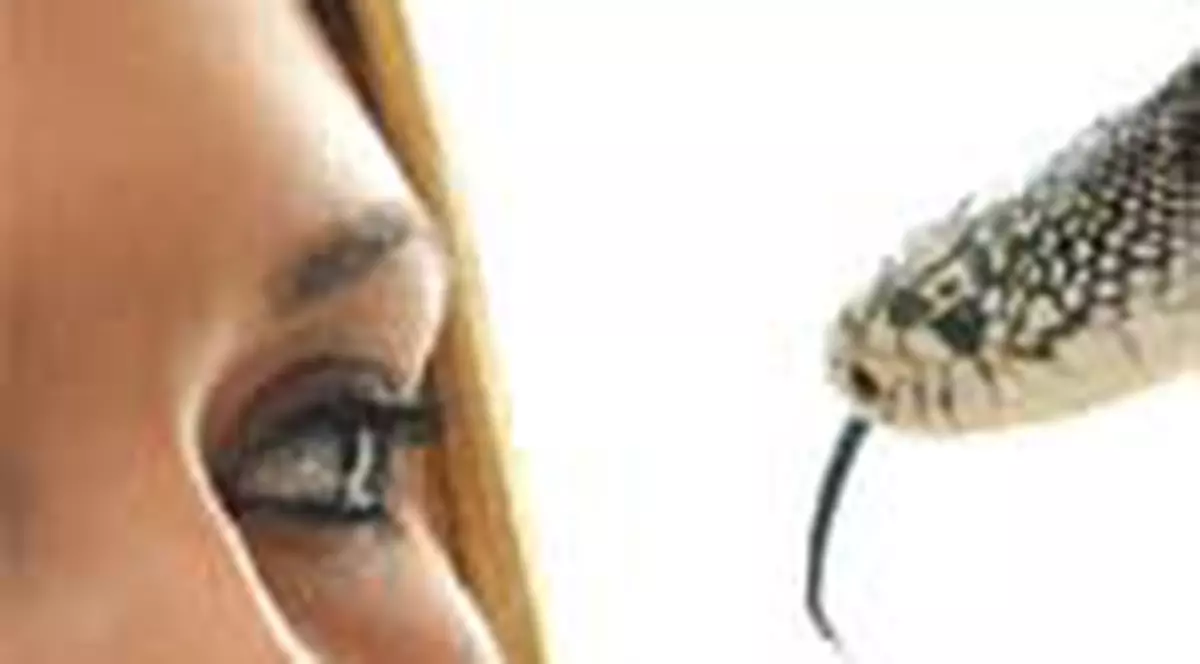 'De ce visez in fiecare noapte serpi?'