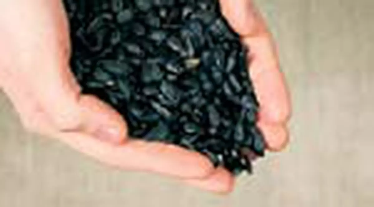 Seminte de floarea-soarelui pentru bila