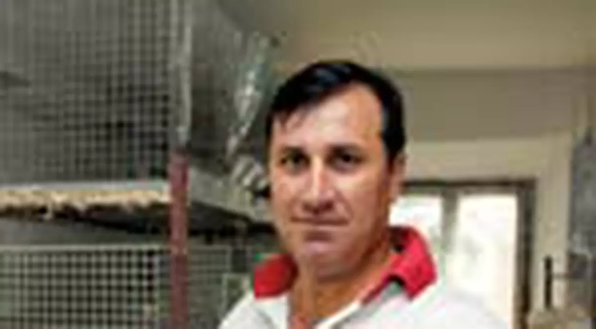 El 'imbraca' vedetele