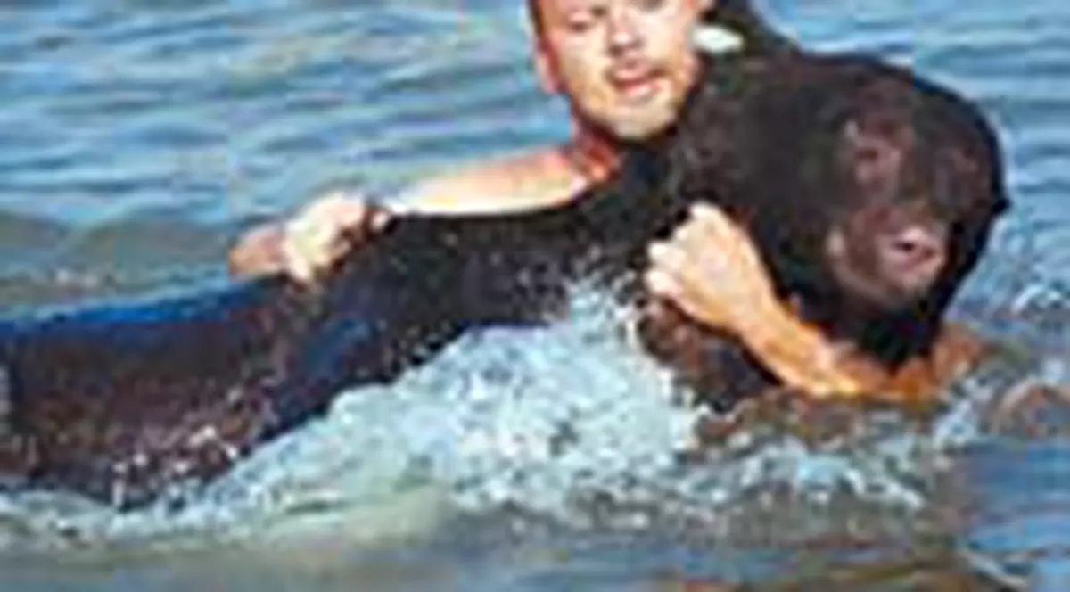 Un padurar a salvat de la inec un urs