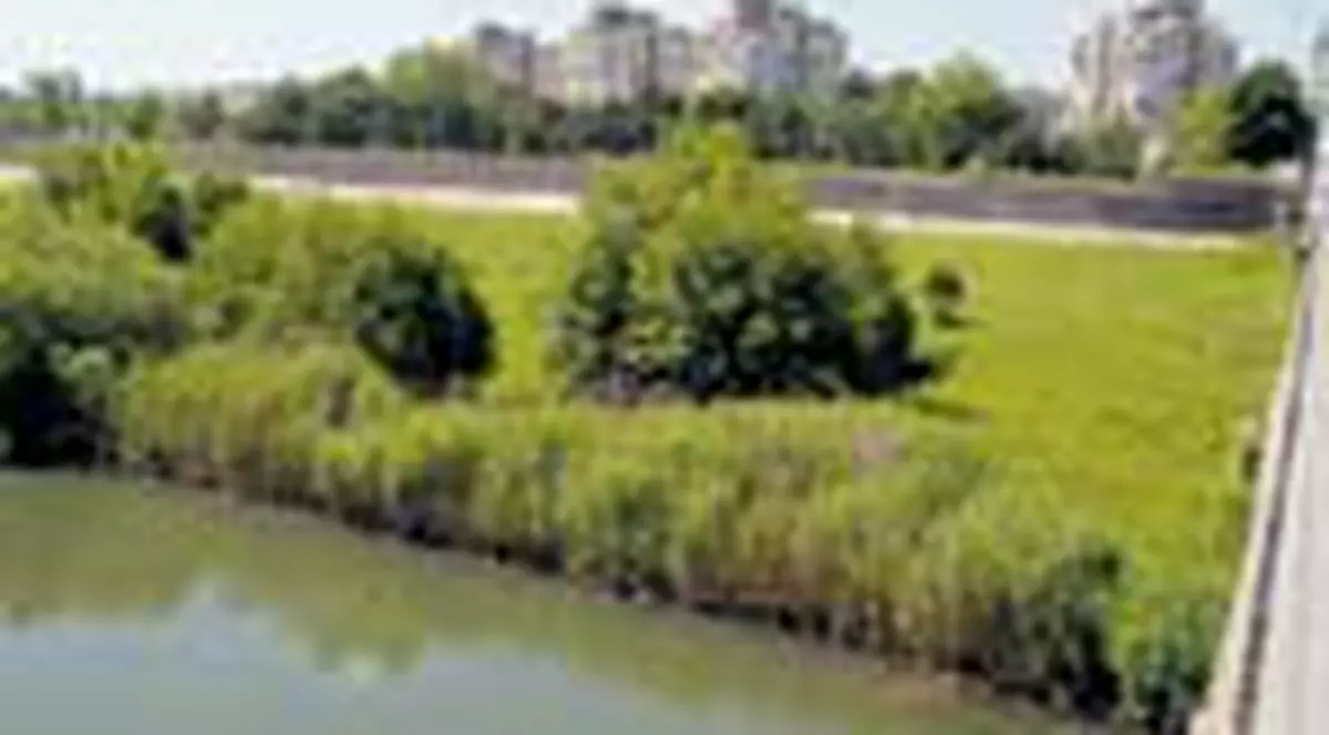 Salvata de la inec de un barbat misterios