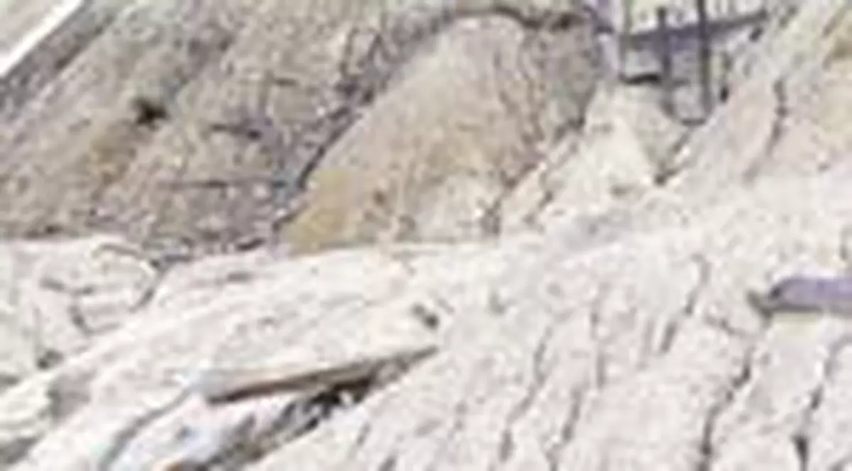 14.000 de tone de deseuri ameninta sa inghita un sat