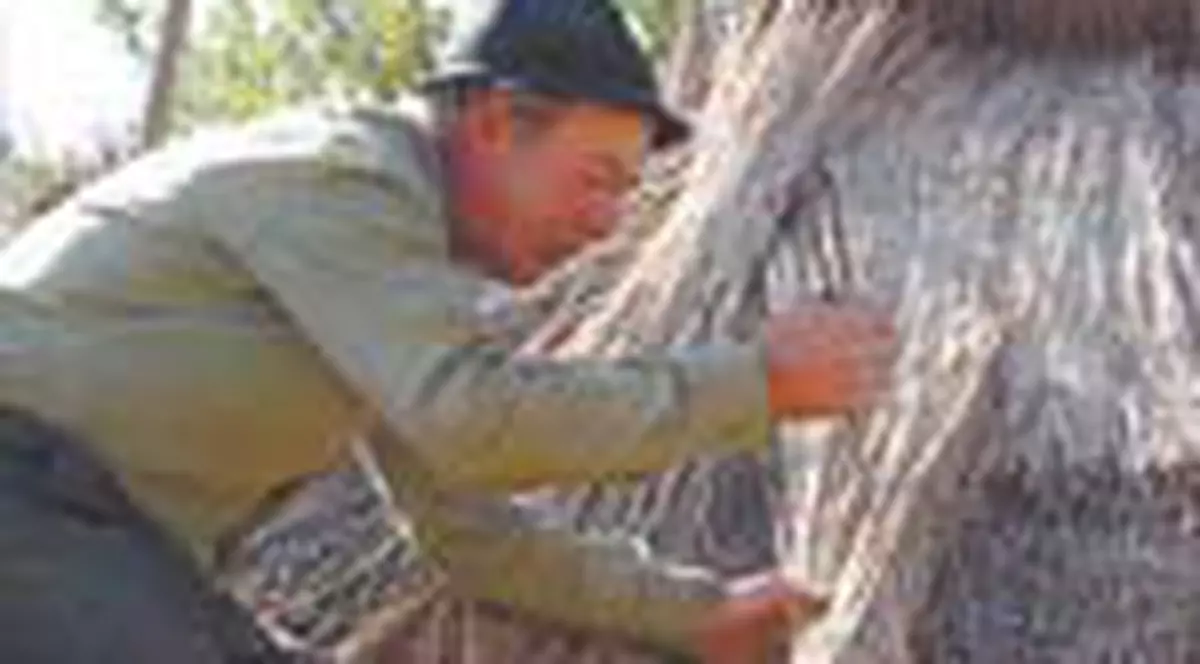 El 'coase' acoperisuri din stuf 