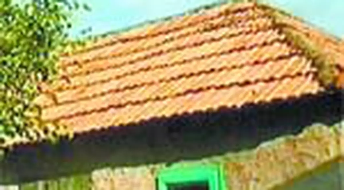 Bestia da vina pe bautura