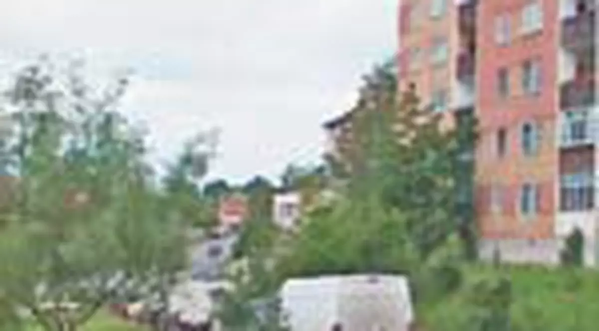 Injunghiata de 196 de ori de fiul nebun