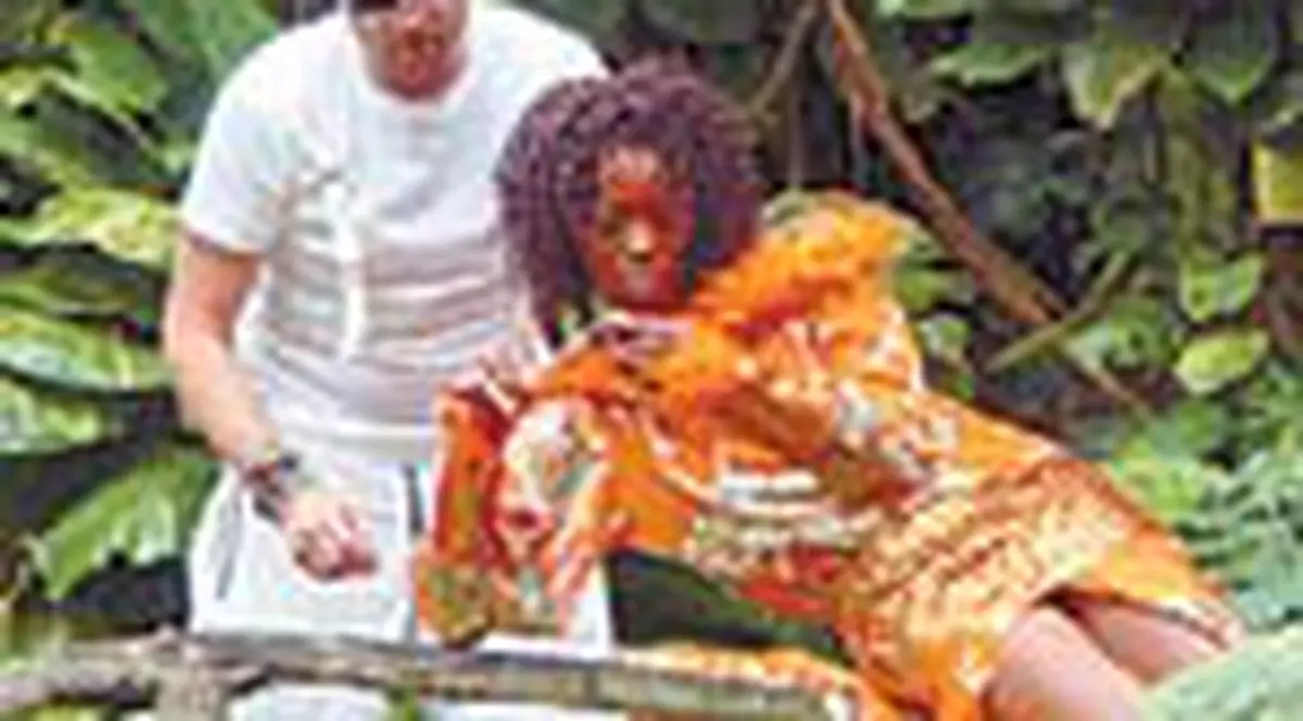 Bote creeaza pentru Vanessa Williams