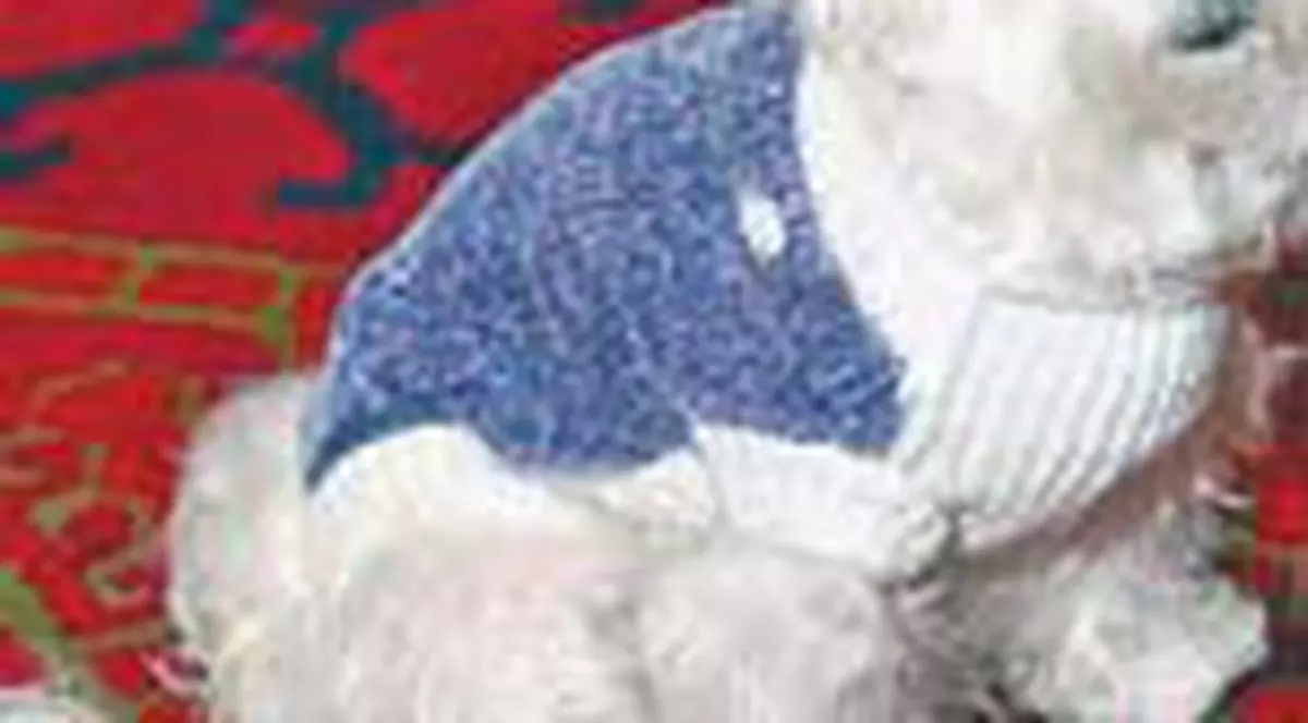 Trouble ia pastile de 18.000 $