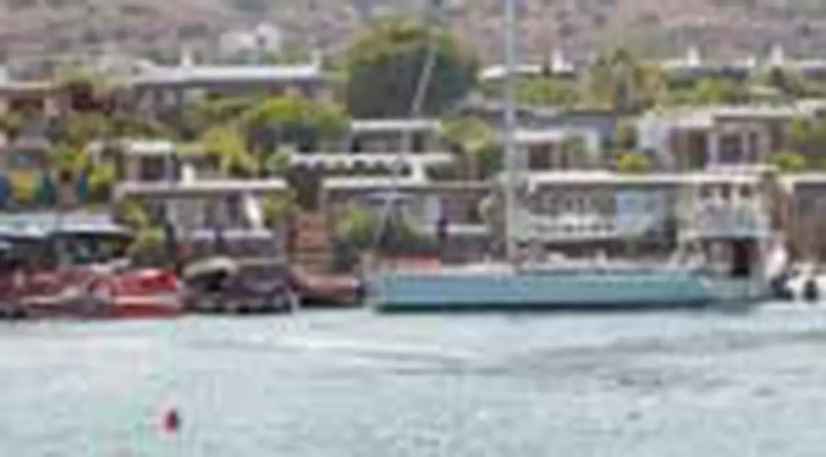 In aceasta vila isi fac luna de miere