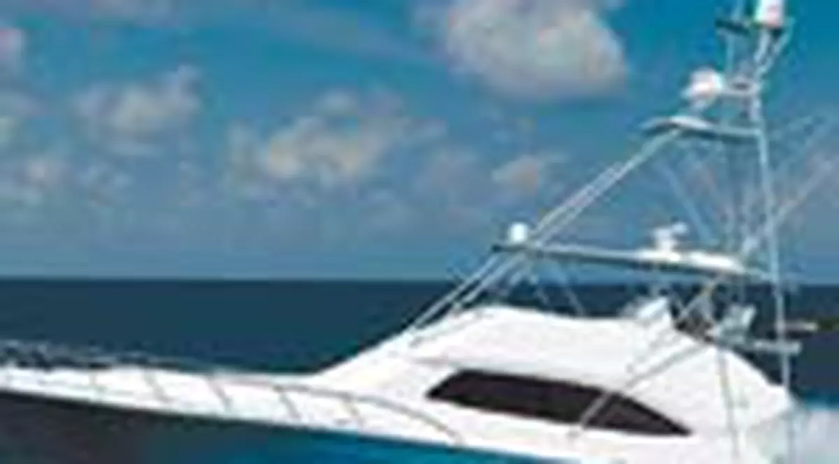 Tavi Colen da 25.000 de dolari pe o salupa