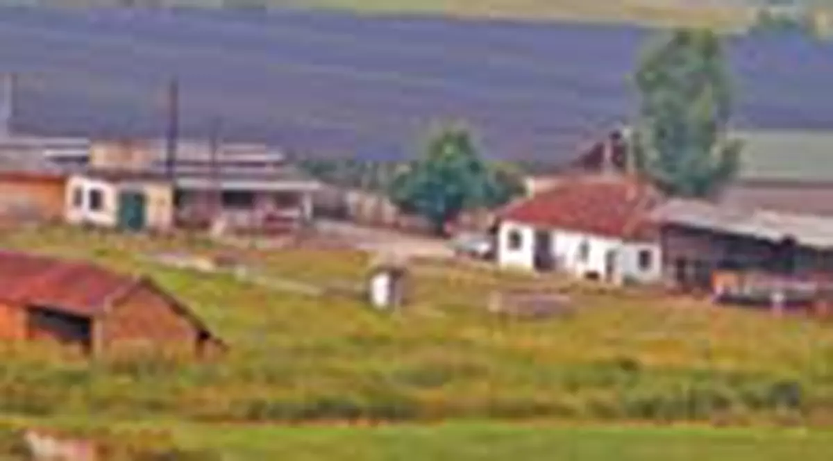 A cheltuit 90.000 de &euro; de teama grindinei