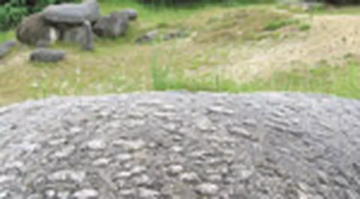 Diavolul "misca noaptea o stanca"