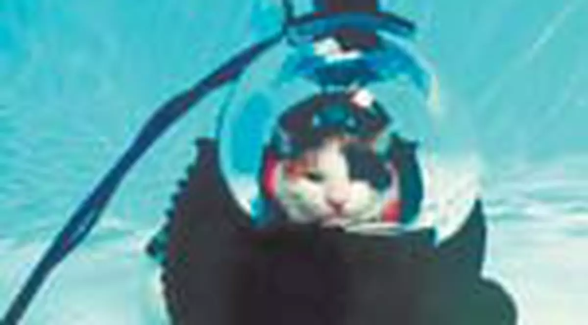 Adora sa faca scufundari