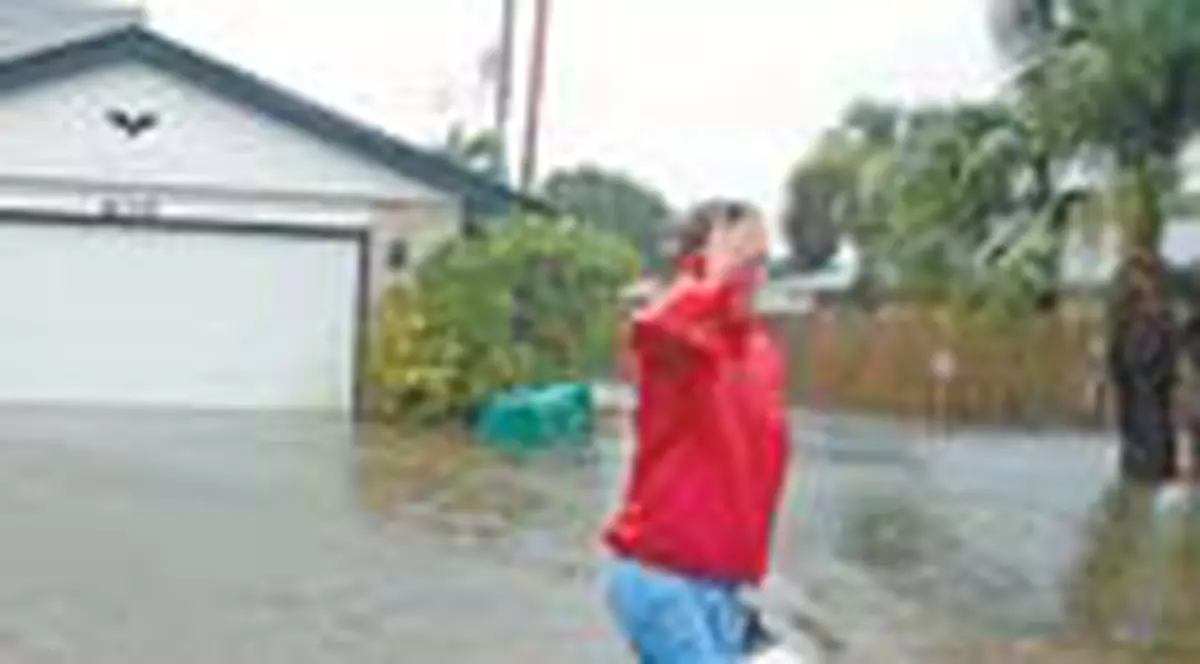 Le-au intrat crocodilii in gradina!