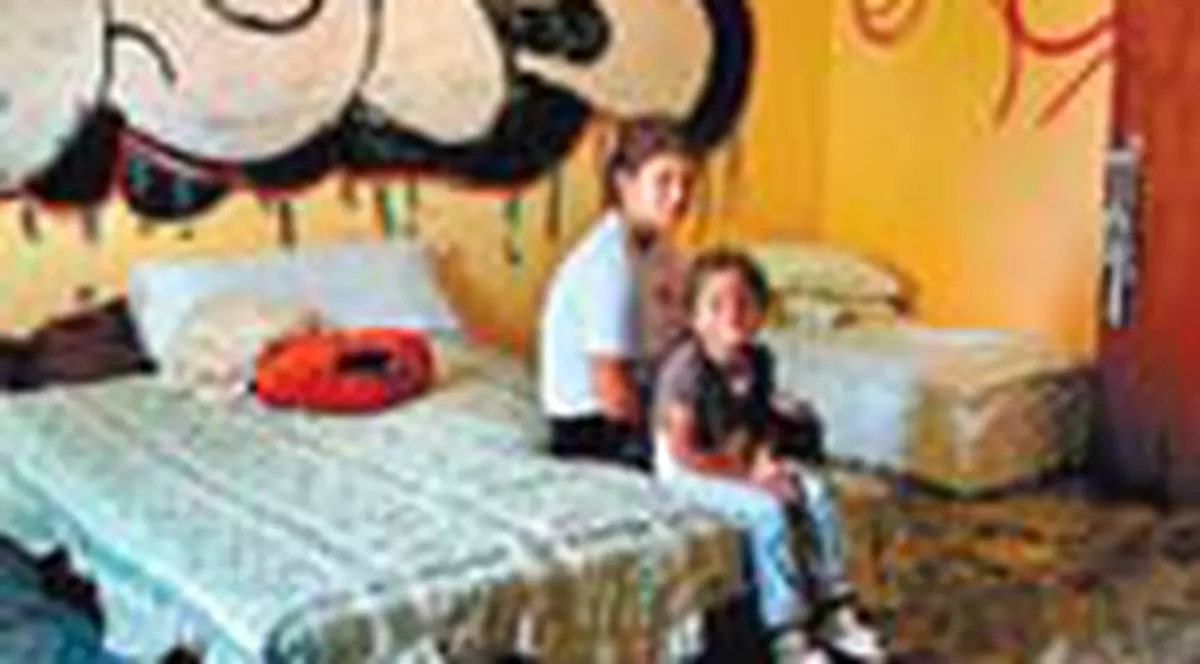 Stau intr-o fabrica parasita