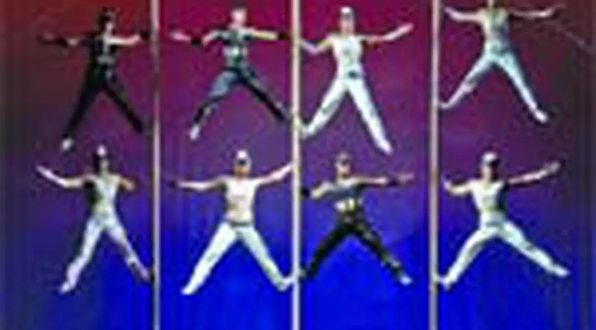 Artisti ce sfideaza gravitatia