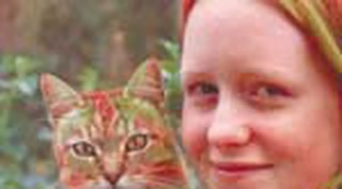 Ti-ai vopsi asa pisica?