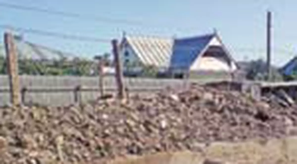 Basescu ii face casa din banii lui