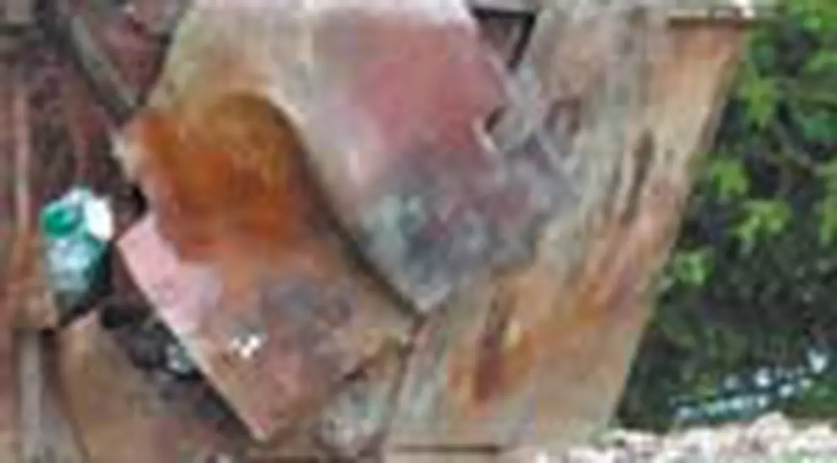 Un alt urs a coborat in Busteni in cautarea hranei