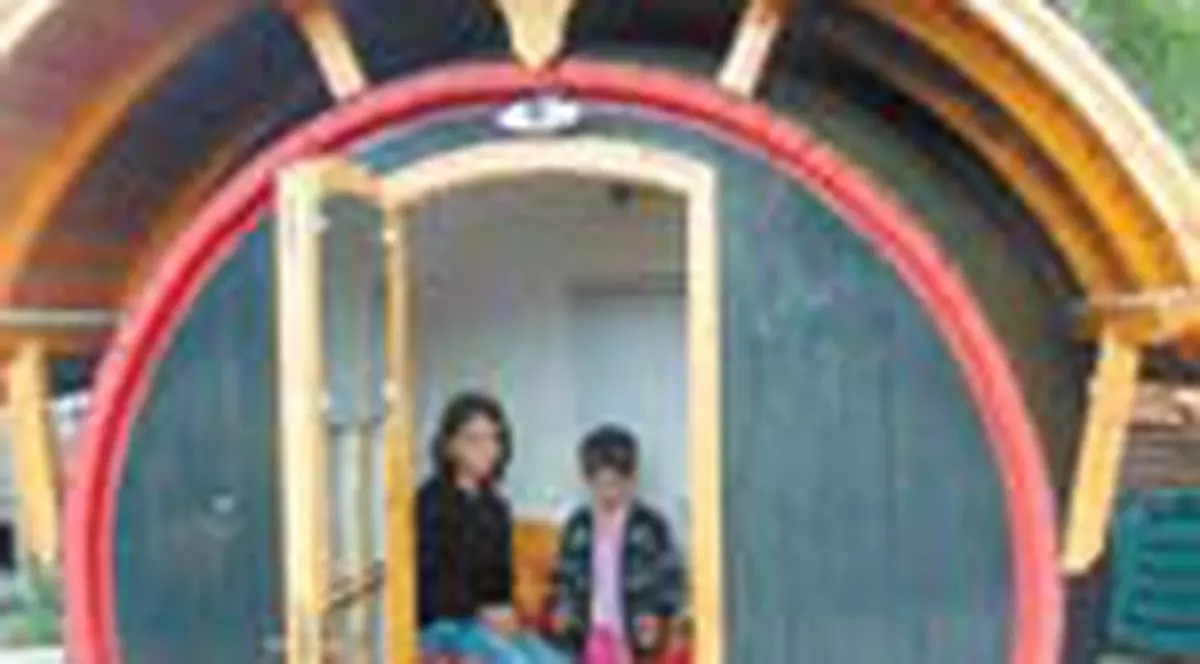 S-au cazat in butoaie de vin