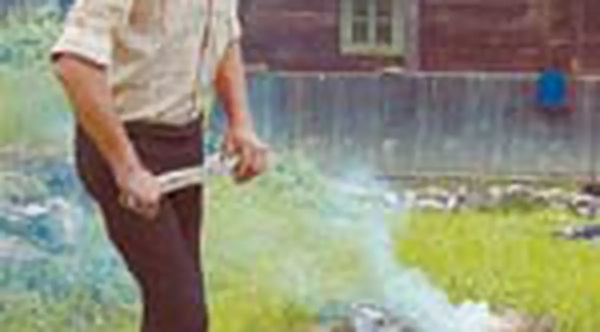 Fizician in Germania, dulgher in Romania