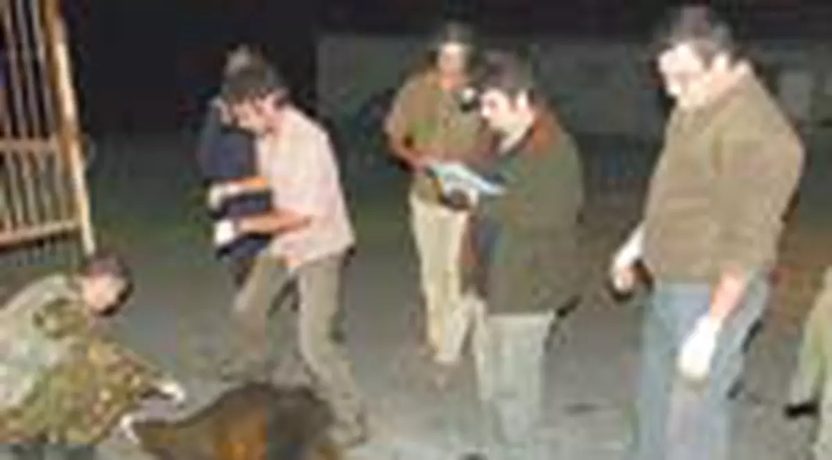 Au ademenit ursuletii cu peste