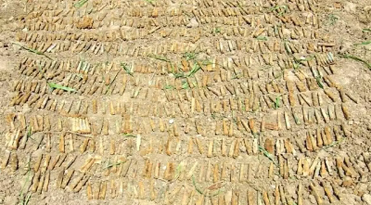 Ora 18.30: Munitie descoperita in perimetrul Aeroportului Sibiu