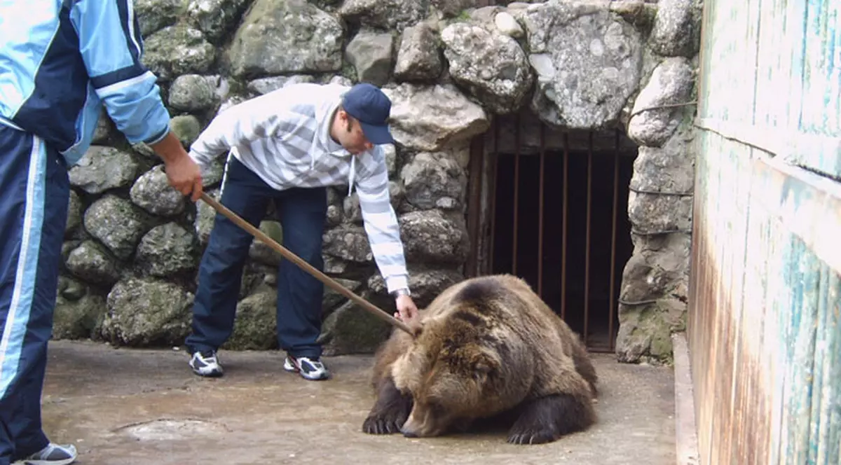 Urşii de la Zoo Ploieşti s-au mutat la patru camere