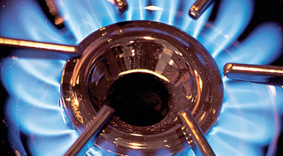 Vosganian: "Nu vom scumpi gazele de la 1 octombrie" 