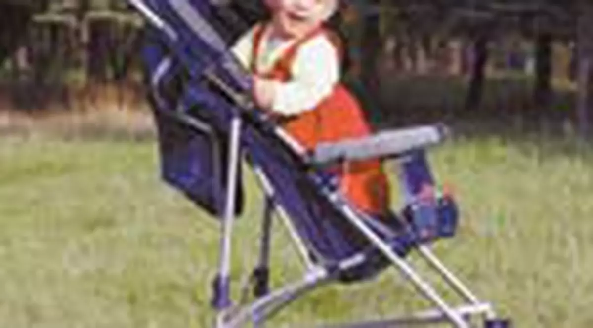 Ce tip de carucior ii alegeti micutului?