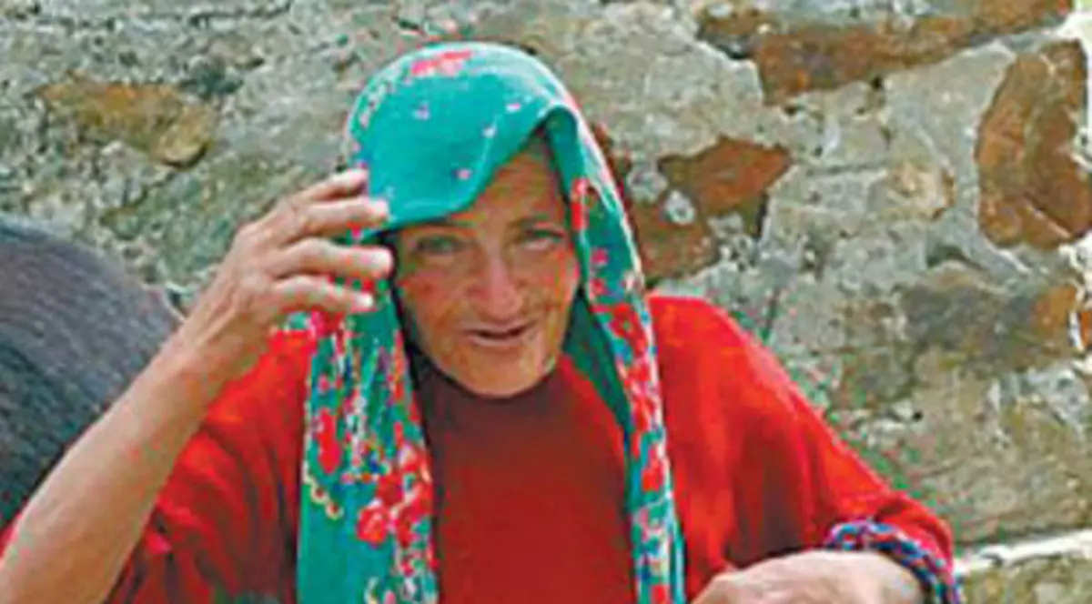 A încălecat-o o vacă!